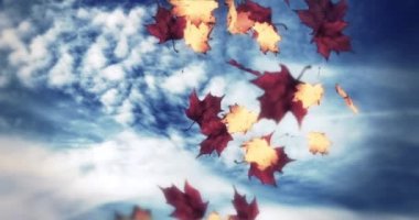 Düşen yaprakların canlandırması sonbahar döngüsü