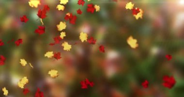 Düşen yaprakların canlandırması sonbahar döngüsü