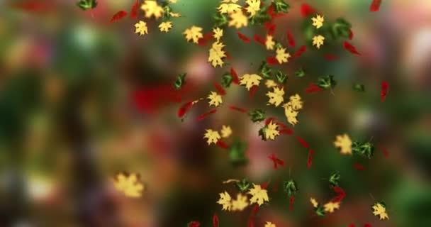 Animatie Van Vallende Bladeren Herfst Lus — Stockvideo