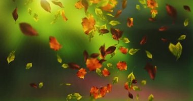 Düşen yaprakların canlandırması sonbahar döngüsü