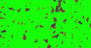 Düşen yaprakların animasyonu krom anahtar döngüsü