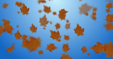 Düşen yaprakların canlandırması sonbahar döngüsü