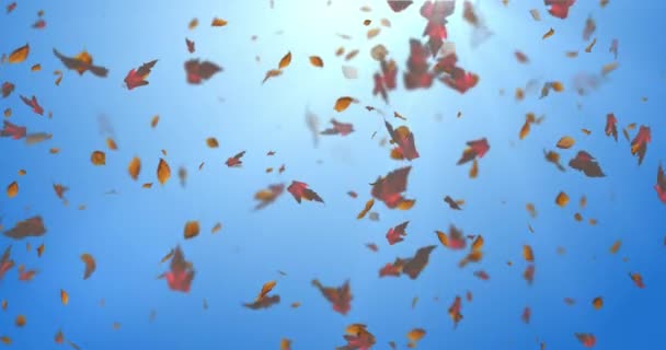 Animace Podzimního Listí — Stock video