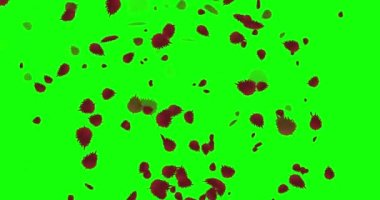 Düşen yaprakların animasyonu krom anahtar döngüsü