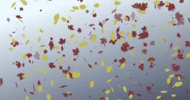 Düşen Yaprakların Canlandırması Sonbahar Döngüsü — Stok video