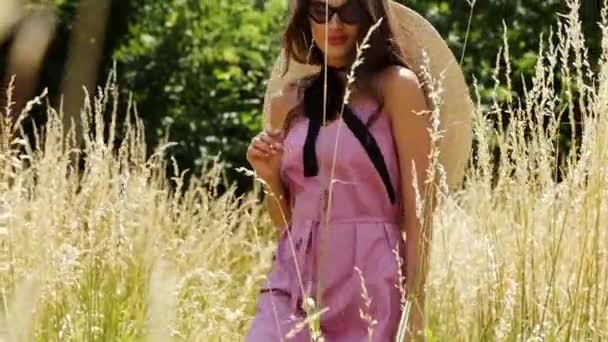 美丽的年轻性感的女人长头发明亮的妆容自然背景景观干穗草和树木花园夏季模特身着棉布礼服配件草帽太阳镜时尚风格 — 图库视频影像