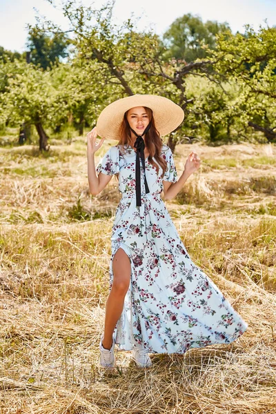 セクシーな美しい若い女性ファッション モデル長い青を纏うスタイリッシュなドレス夏コレクション アクセサリー麦わら帽子ホット自然園から歩いて乾燥草ロマンスかなり顔長いブルネットの髪日焼け太陽の輝き — ストック写真