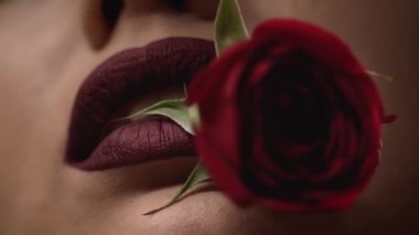 Güzel seksi güzel Bayan yüz cilt bakımı yapmak organik kozmetik ürün doğal renk ruj çiçek kadar onun diş moda stil dudak bakımı mükemmel glamour üzerinde gül.