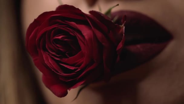 Красивая Сексуальная Красивая Леди Уход Кожей Лица Составляют Органический Косметический — стоковое видео