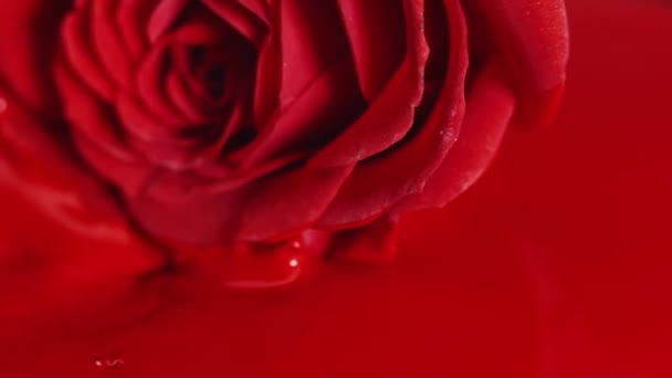 红色油漆口红液体纹理 混合色调 艺术化妆化妆品面玫瑰花花 — 图库视频影像