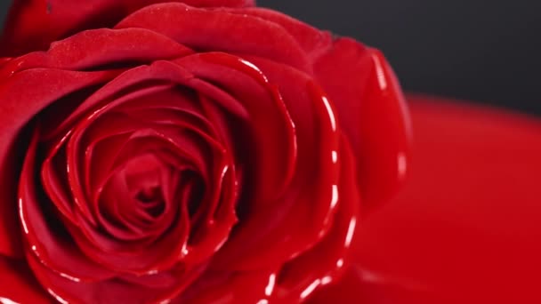赤いペンキの口紅 液体の質感 アートの色合いを混合用オイル塗料を補う顔バラの花の花の化粧品 — ストック動画