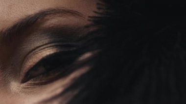 Bir kadın yakın çekim modeli cilt bakımı kozmetik Dekoratif kozmetik, hafifçe dokunuşlar siyah tüy yanak, göz, rimel, göz farı, allık, kaş, güzellik makyaj, gençlik seksi güzel üzerinde yüzü.