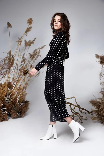 아주 아름 다운 패션 뷰티 모델 곱슬 검은 머리 스타일 섹시 — 스톡 사진