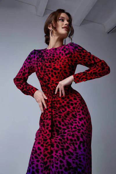 Σέξι Όμορφη Γυναίκα Μόδας Φορούν Animal Print Κόκκινο Φόρεμα Casual — Φωτογραφία Αρχείου