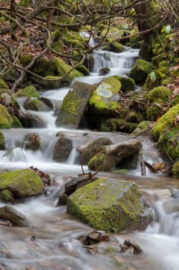 Su acele ile küçük dere erken bahar