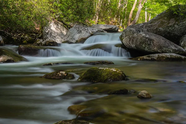 Каскад Мало Річці Грейт Смокі Гори — стокове фото
