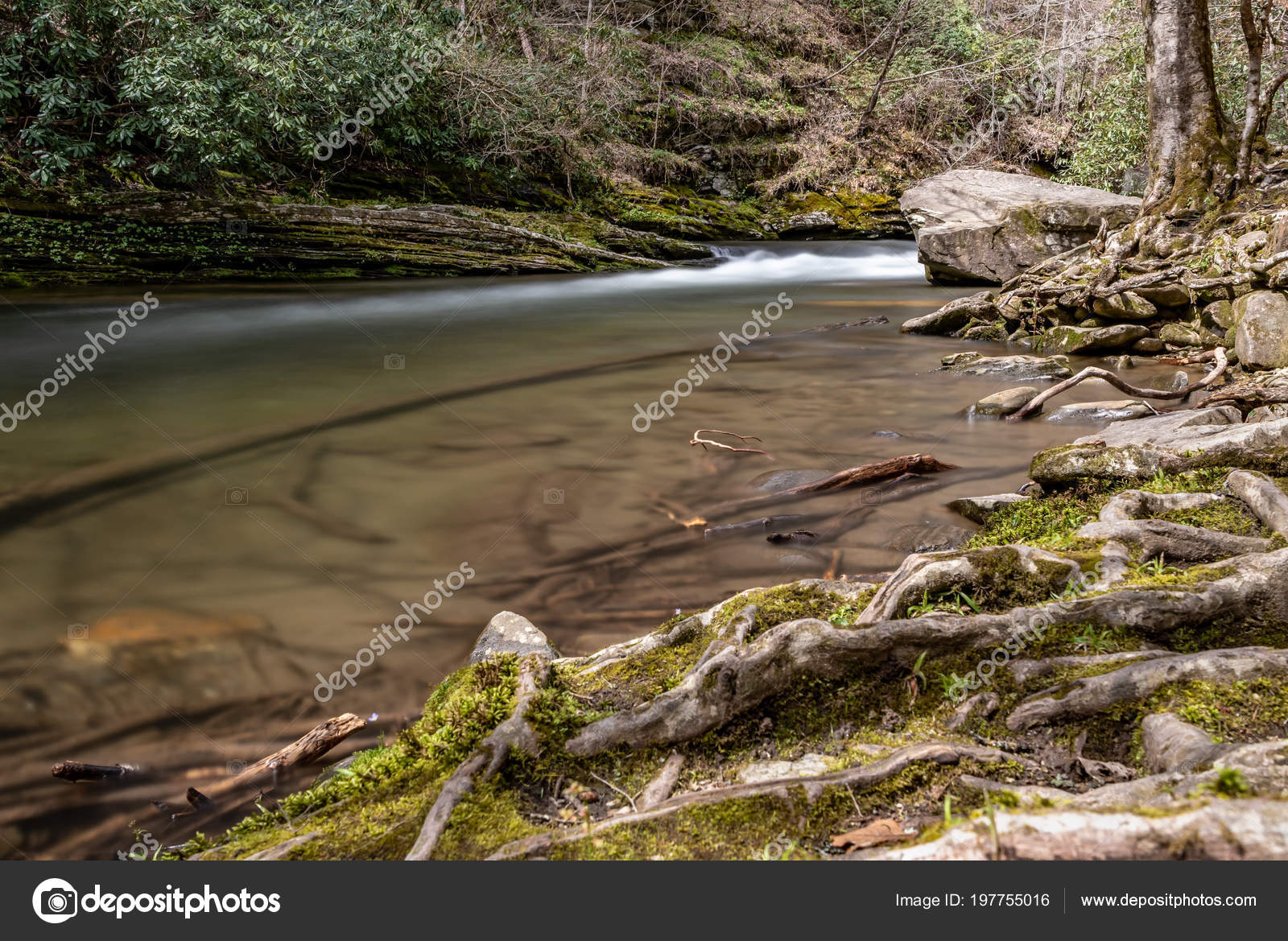 Looking Creek Rock Smokies — Stock Photo © kvddesign 197755016
