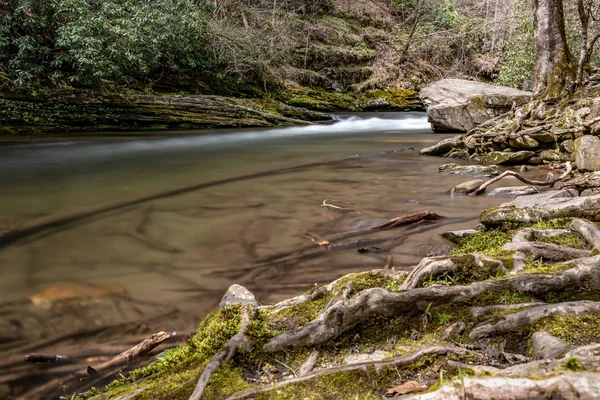 Patrząc Górę Potoku Rock Smokies — Zdjęcie stockowe