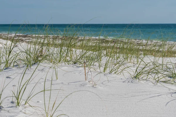 海燕麦与蓝色海湾水和软的白色沙子 — 图库照片