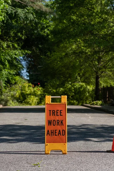Árvore Trabalho Frente Com Espaço Cópia Acima Através Árvores — Fotografia de Stock