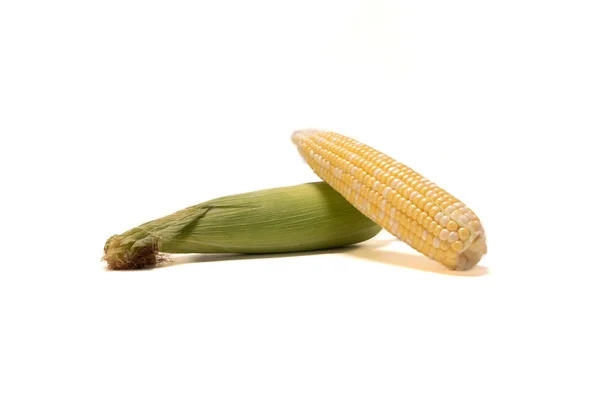 Two Ears Corn White Bcakground — Stock Photo, Image