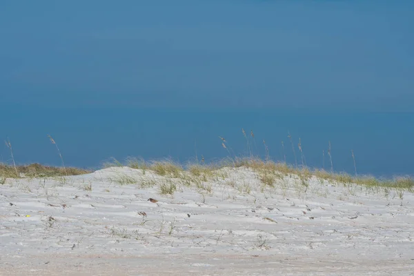 Collines Dunes Sable Avec Ciel Bleu Copier Espace Dessus — Photo