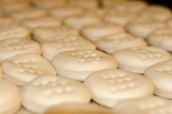 Fileiras Pequenos Biscoitos Que Foram Completamente Laminados São Preparados Para — Fotografia de Stock