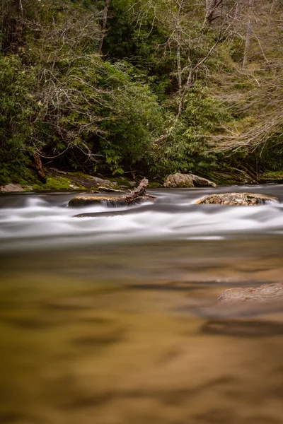 Water Rushes Pasadas Rocas Spring Creek Smokies — Foto de Stock