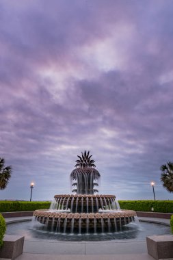 Sabah renk Charleston ananas Çeşme yukarıda