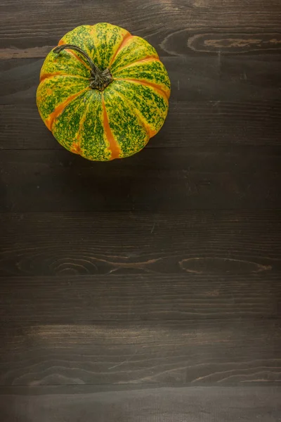 Single Pumpkin Dark Background Copy Space — Stock Photo, Image