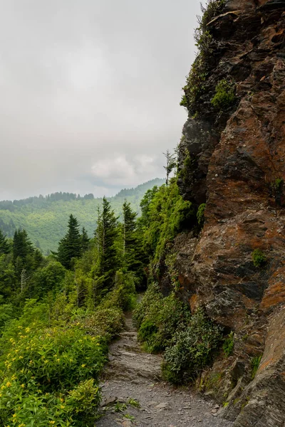 Weg Entlang Des Felsvorsprungs Charlies Bunion Den Smokies — Stockfoto