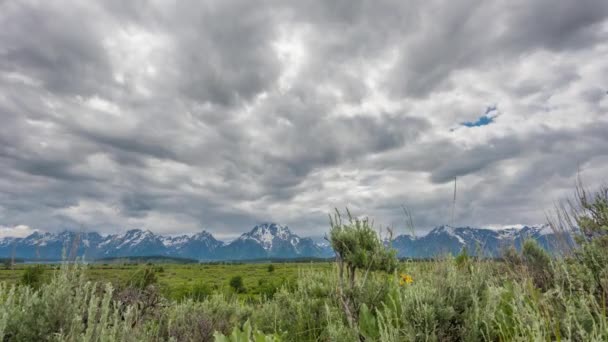 Grand Teton Βροχή Σύννεφα Πάνω Από Ιτιά Πολυκατοικίες Μπροστά Από — Αρχείο Βίντεο