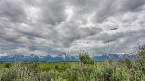 Grand Teton Nuvole Pioggia Sugli Appartamenti Salice Fronte Alla Gamma — Video Stock