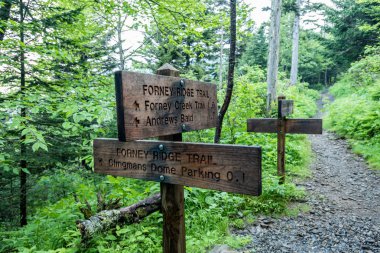 Forney Ridge Trail işaretler Clingmans Dome yakınındaki kesişme noktalarında