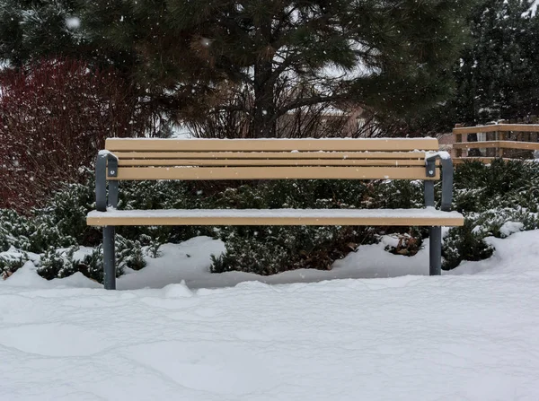Wooden Park Bench Accumulates Snow Winter Snowfall — Stock Photo, Image