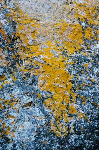 바위는 그것의 표면을 오렌지 — 스톡 사진