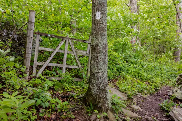 Appalachian Trail Loopt Een Oude Beveiligd Gebied Waarschijnlijk Gebruikt Voor — Stockfoto