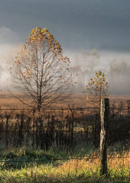 秋霧の谷の古い塀のポスト — ストック写真