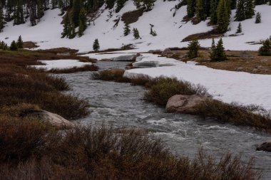 Beartooth River Rushes Along Snowy Bank in Late Spring clipart