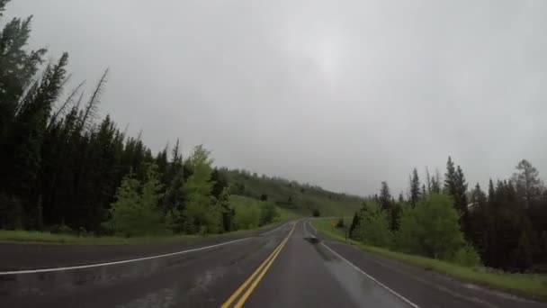 Sosny Mgła Wzdłuż Górskiej Drogi — Wideo stockowe