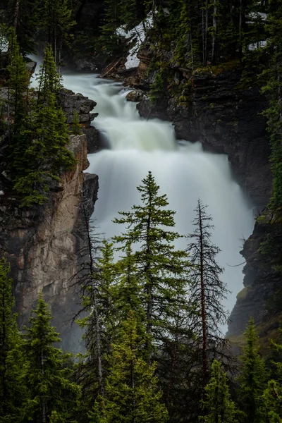 Pinheiro Frente Beartooth Falls Com Longa Exposição — Fotografia de Stock