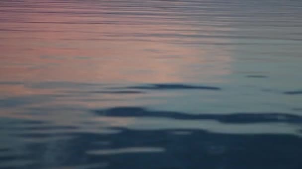 Golven Bij Zonsondergang Langs Rustige Lake Oppervlak — Stockvideo