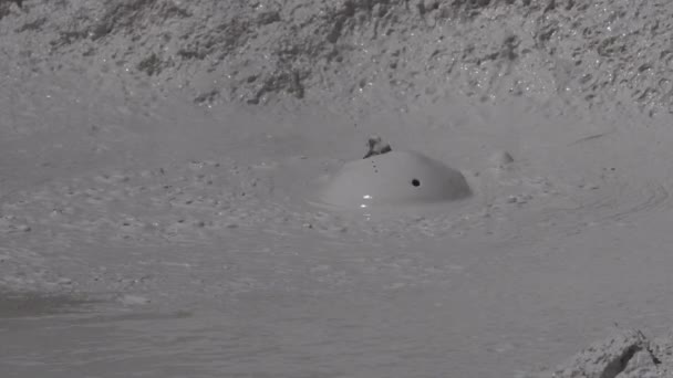 温泉のペイント鉢に小さな泡 — ストック動画