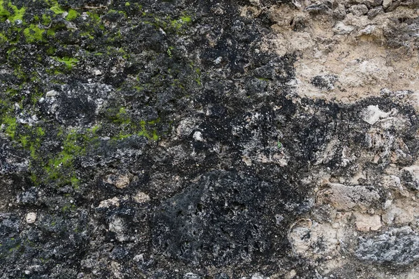 Moss Começa Crescer Fundo Parede Pedra — Fotografia de Stock