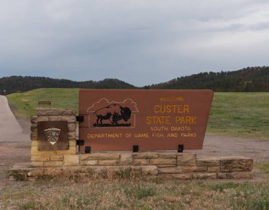 15 Haziran 2018: Custer State Park, Amerika Birleşik Devletleri: Custer devlet parkı ziyaret edin ve bizon Black Hills görüntülemek için popüler bir yer
