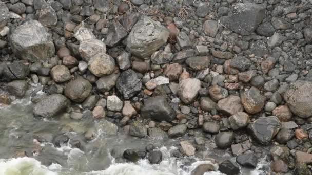 Water Crashes on The Shore of Hellroaring Creek — Stock Footage Water Crashes Shore Hellroaring Creek Stock Video