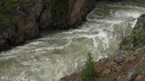 Víz Keresztül Hellroaring Patak Yellowstone — Stock videók