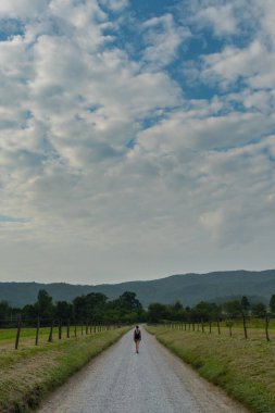 Hyatt Lane and Woman Walking Under Cloudy Sky in Late Summer clipart