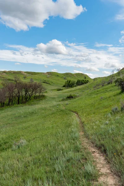 Smalle Trail Doorsnijdt Prairie Glooiend North Dakota — Stockfoto