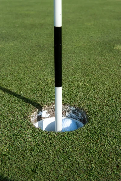 Fechar Bola Golfe Caindo Buraco Com Bandeira — Fotografia de Stock